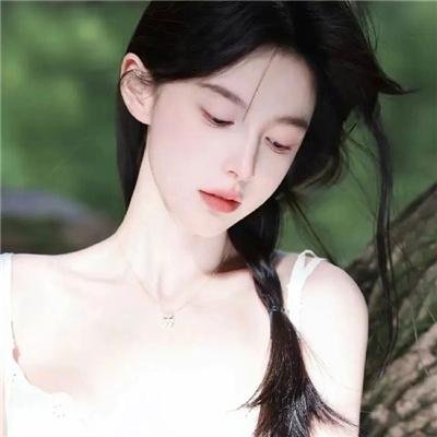 法律至上1